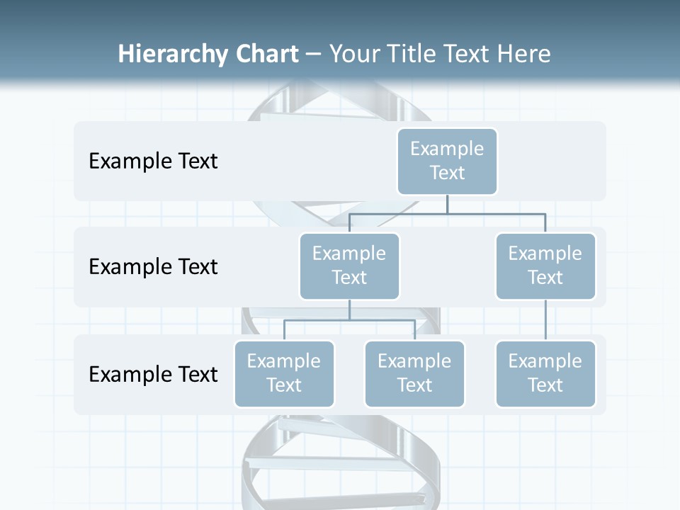 Health Science Medicine PowerPoint Template