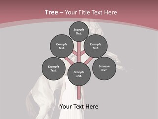 Mare Dress People PowerPoint Template