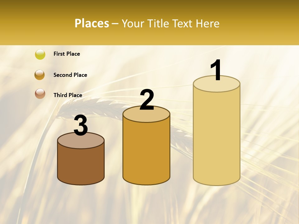 Straw Gold Meadow PowerPoint Template