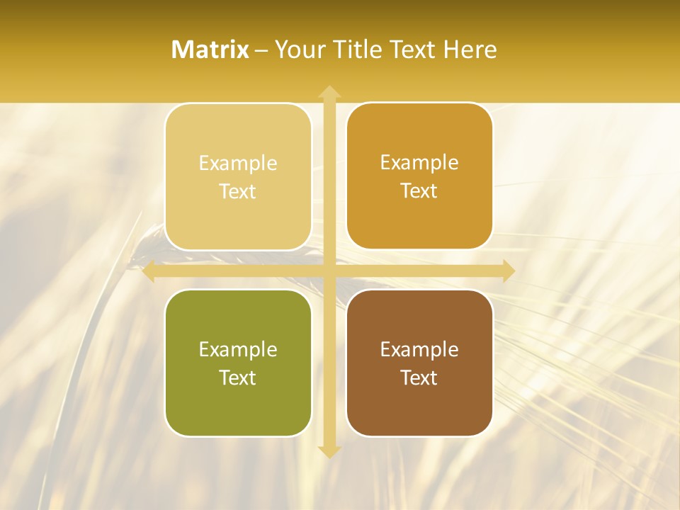 Straw Gold Meadow PowerPoint Template