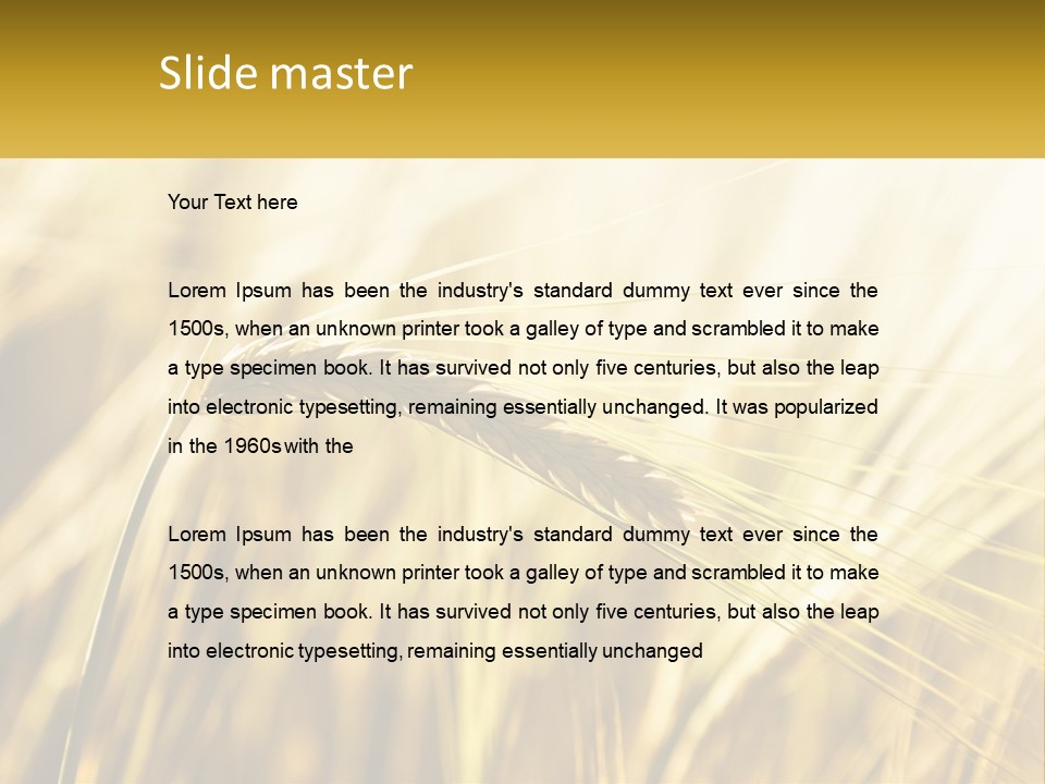 Straw Gold Meadow PowerPoint Template