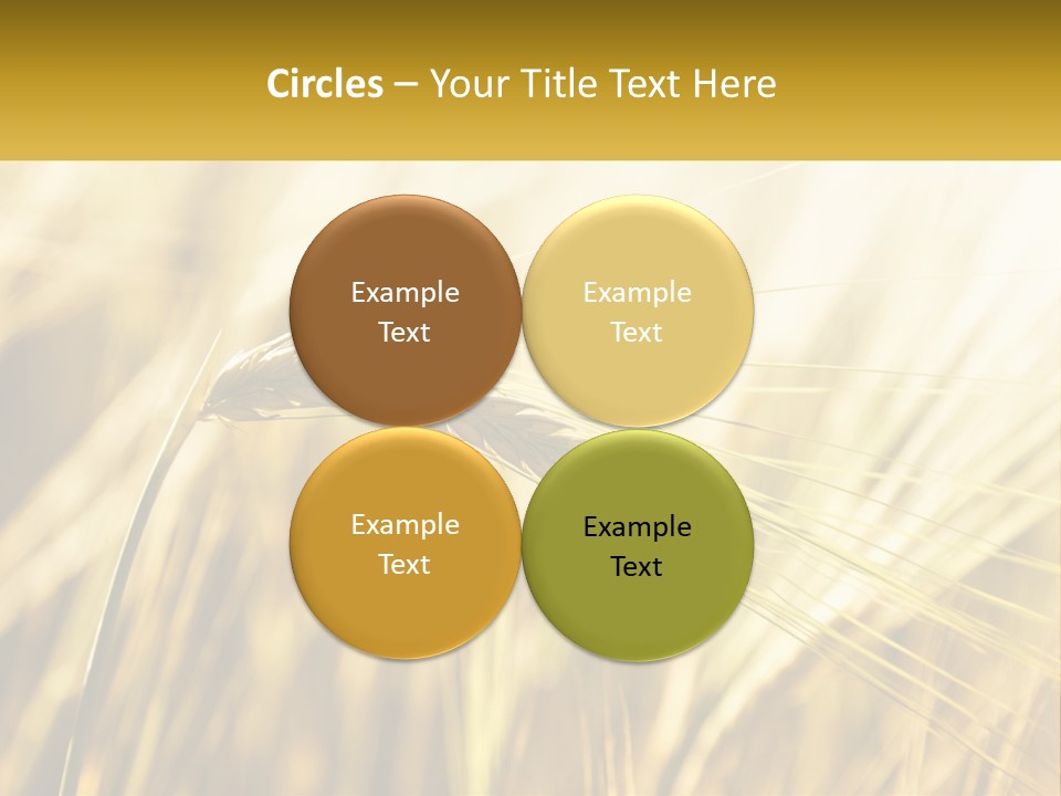 Straw Gold Meadow PowerPoint Template