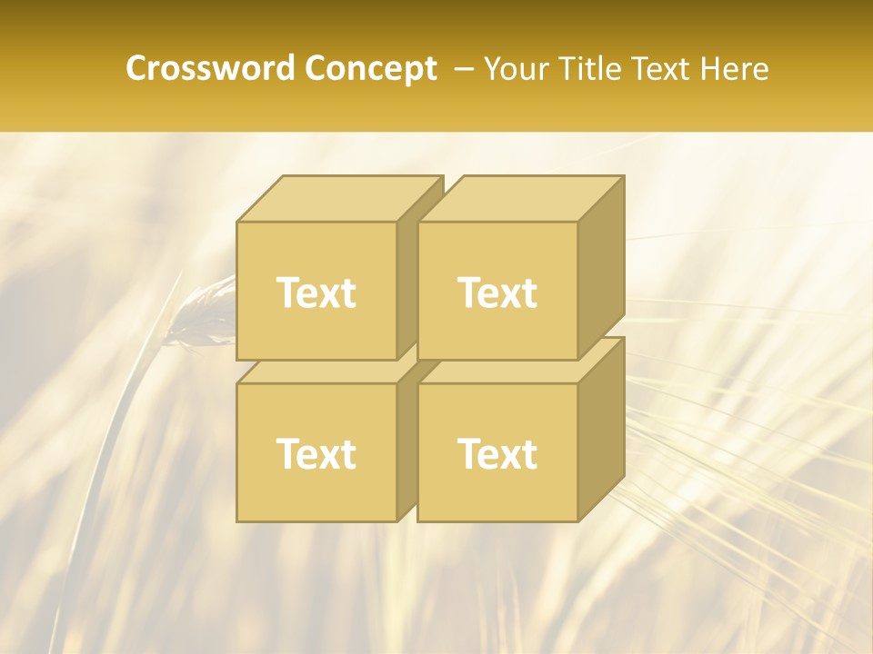 Straw Gold Meadow PowerPoint Template