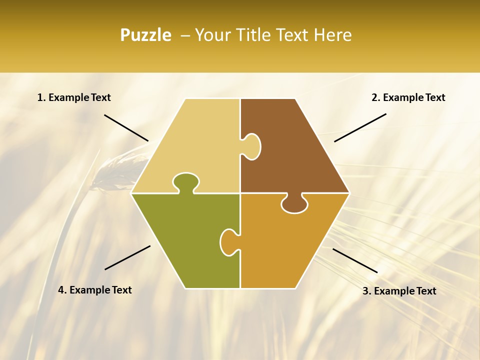 Straw Gold Meadow PowerPoint Template