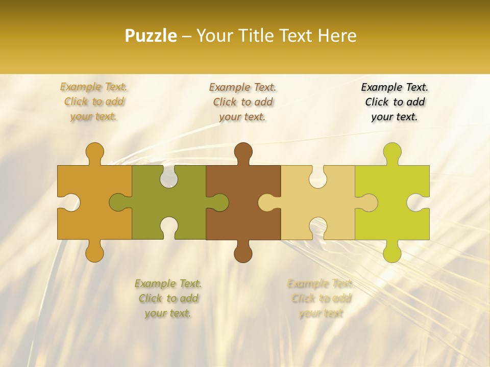 Straw Gold Meadow PowerPoint Template