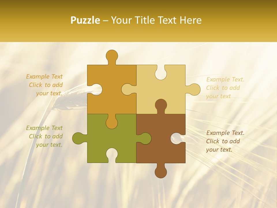 Straw Gold Meadow PowerPoint Template