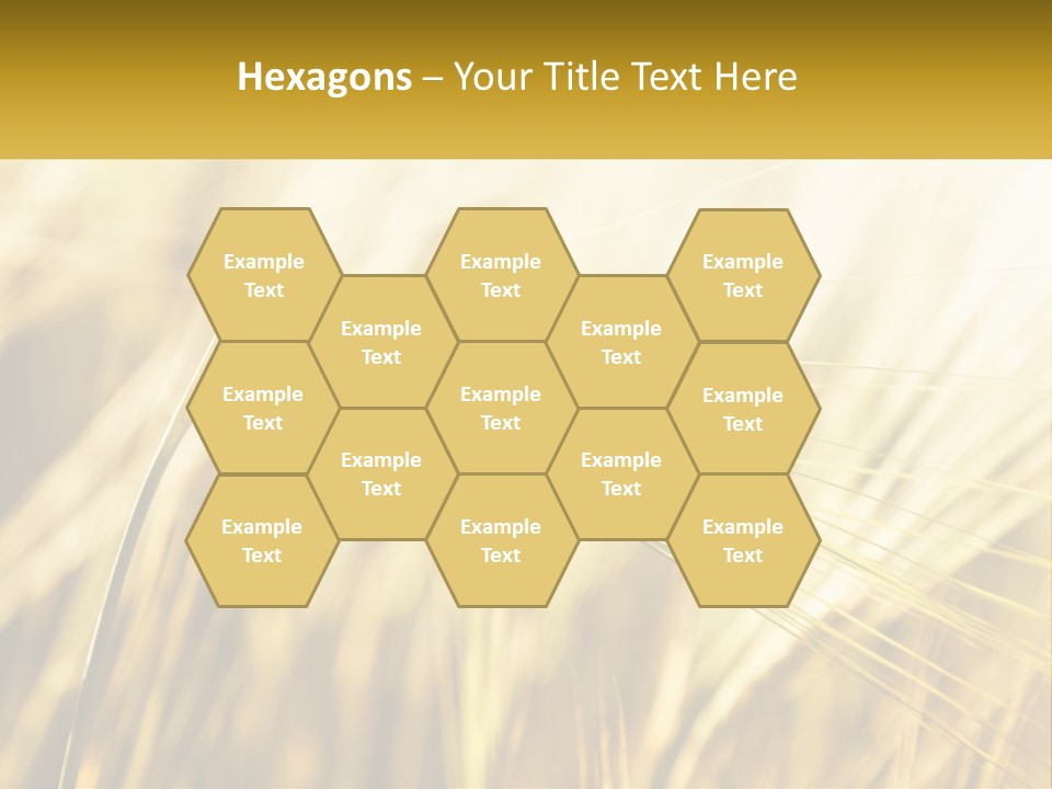 Straw Gold Meadow PowerPoint Template