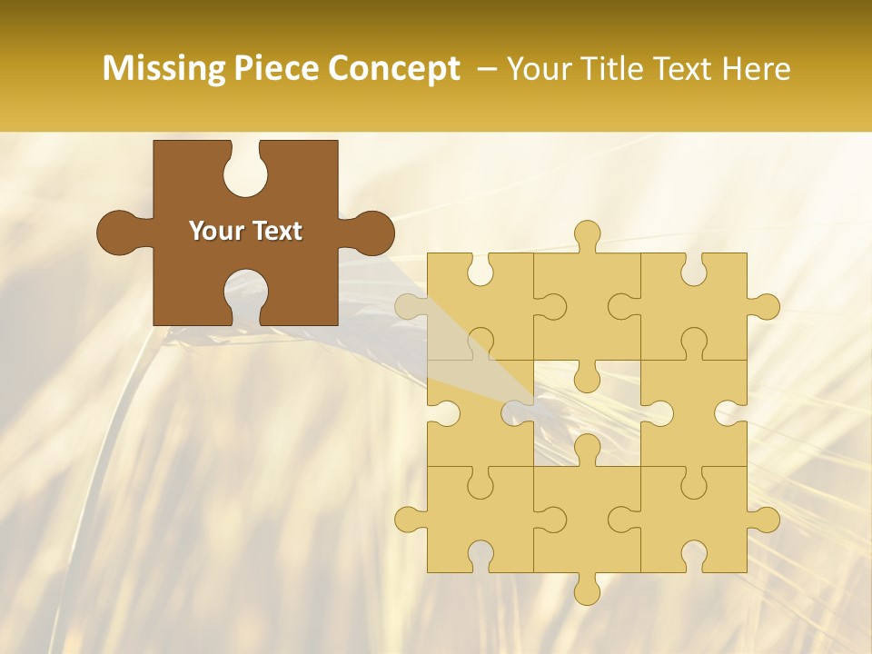 Straw Gold Meadow PowerPoint Template