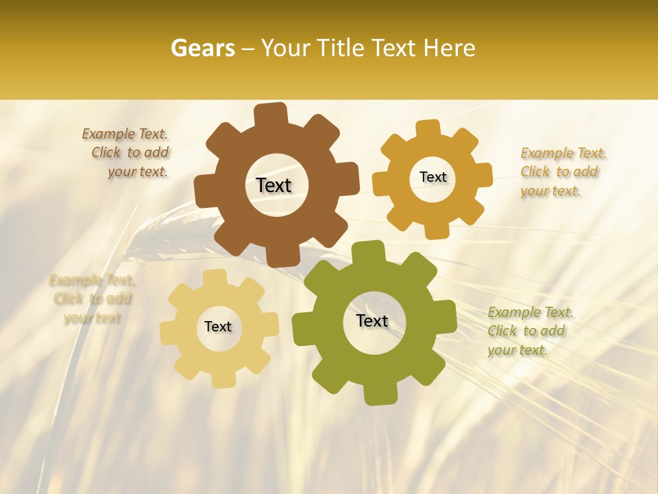 Straw Gold Meadow PowerPoint Template