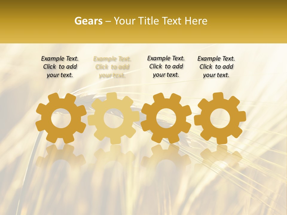 Straw Gold Meadow PowerPoint Template