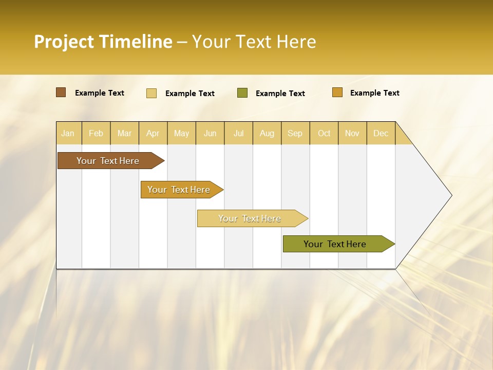 Straw Gold Meadow PowerPoint Template