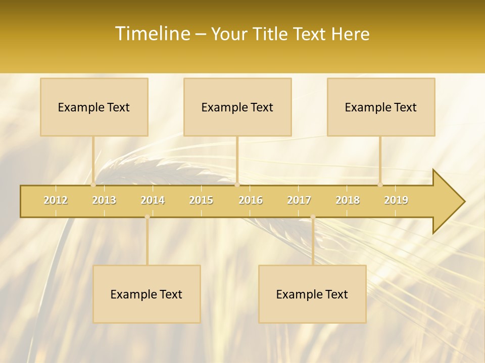 Straw Gold Meadow PowerPoint Template