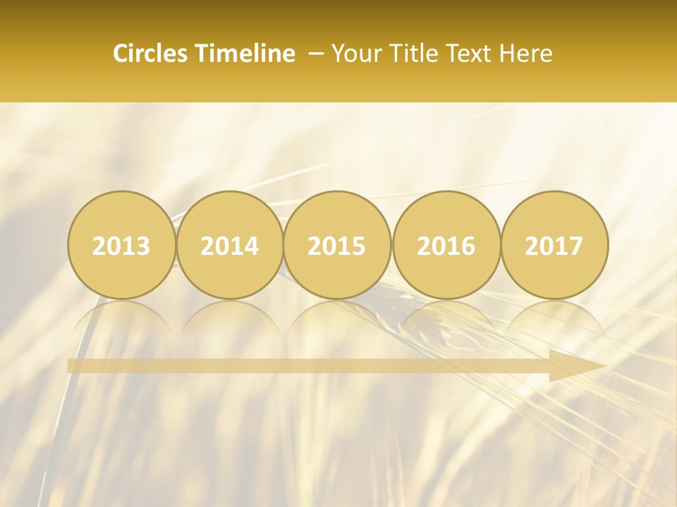 Straw Gold Meadow PowerPoint Template