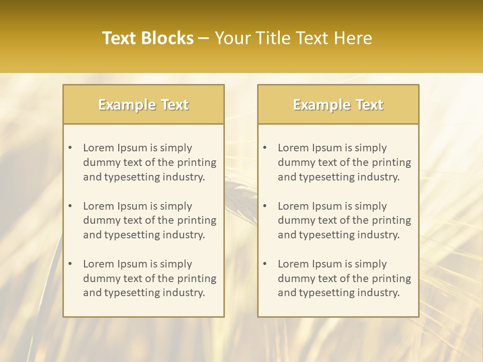 Straw Gold Meadow PowerPoint Template