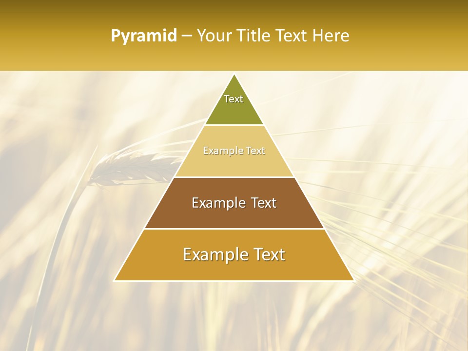 Straw Gold Meadow PowerPoint Template