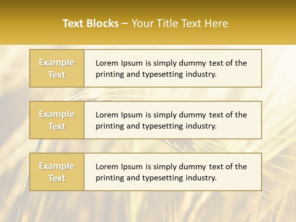 Straw Gold Meadow PowerPoint Template