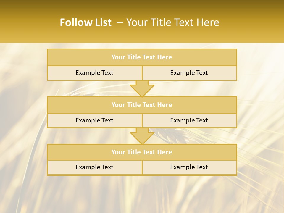 Straw Gold Meadow PowerPoint Template