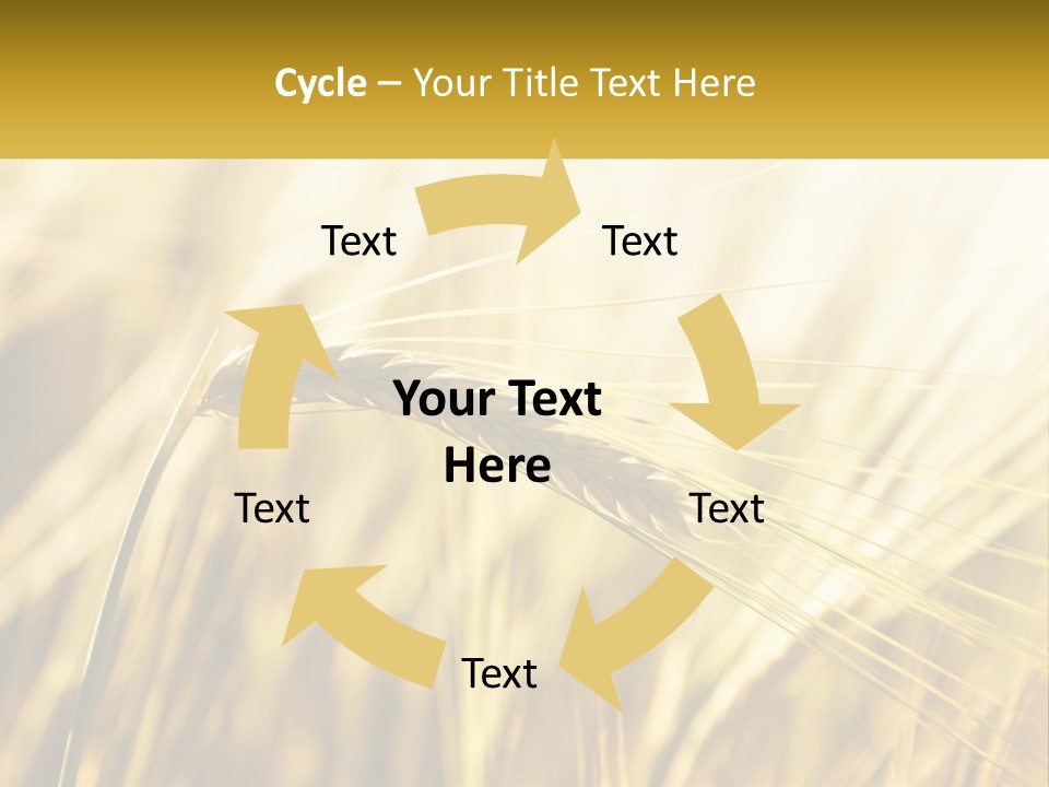 Straw Gold Meadow PowerPoint Template