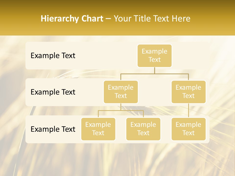 Straw Gold Meadow PowerPoint Template