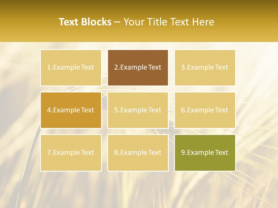 Straw Gold Meadow PowerPoint Template