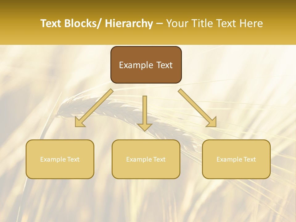 Straw Gold Meadow PowerPoint Template