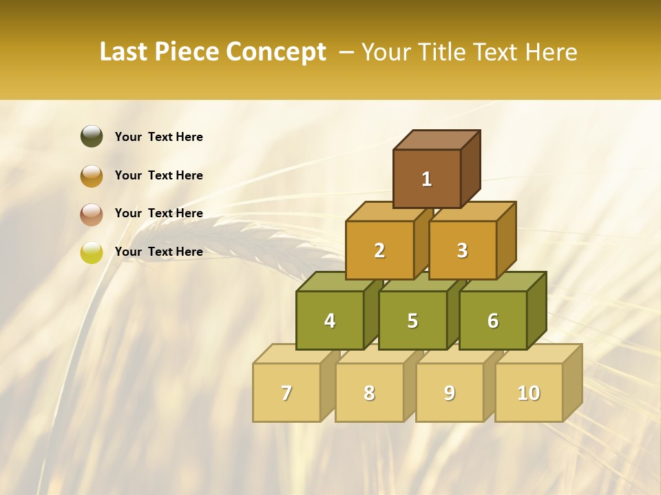 Straw Gold Meadow PowerPoint Template