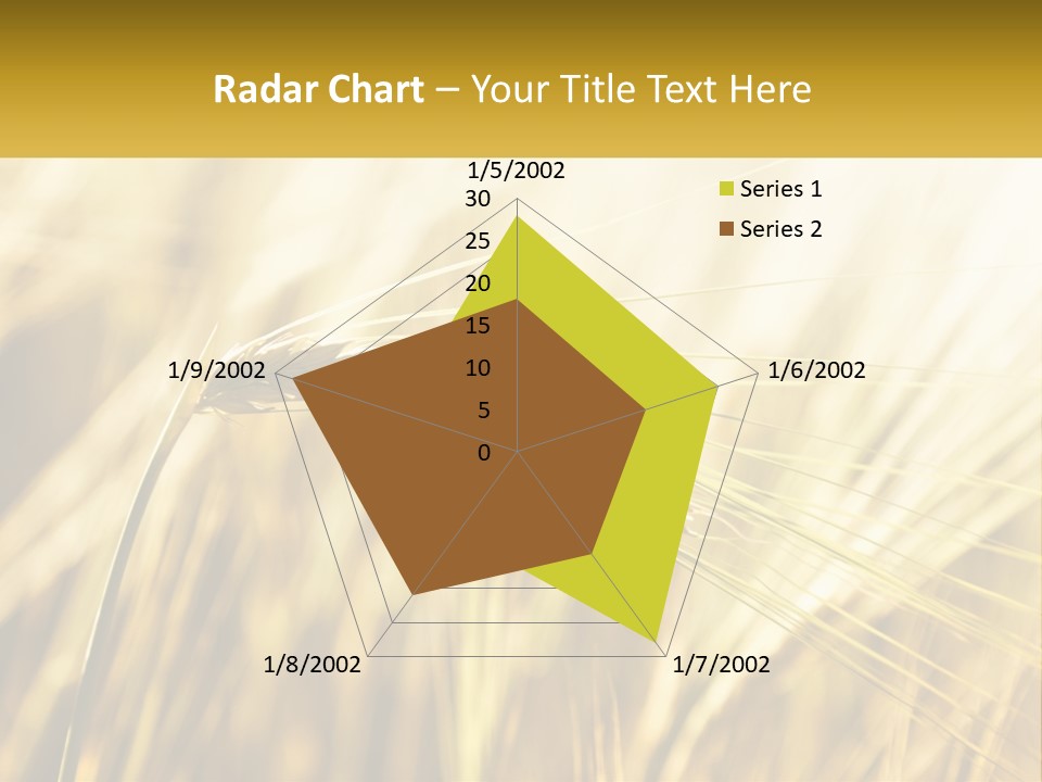 Straw Gold Meadow PowerPoint Template