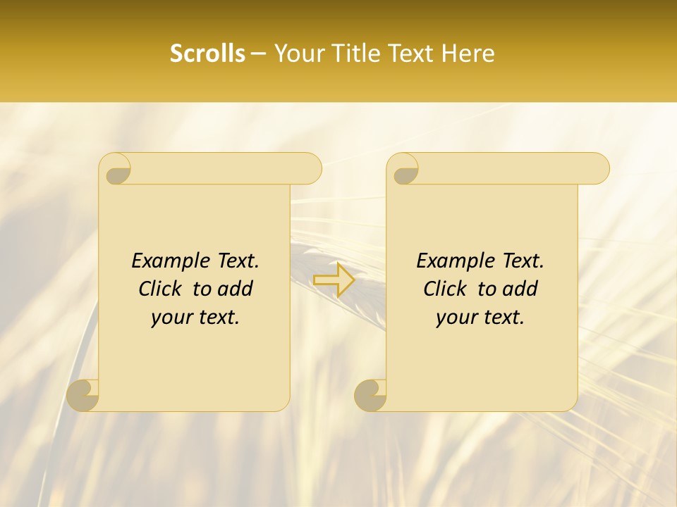 Straw Gold Meadow PowerPoint Template