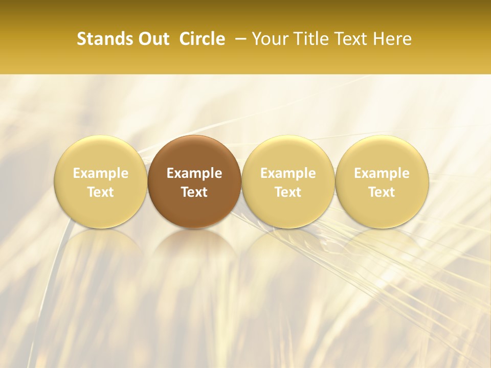 Straw Gold Meadow PowerPoint Template