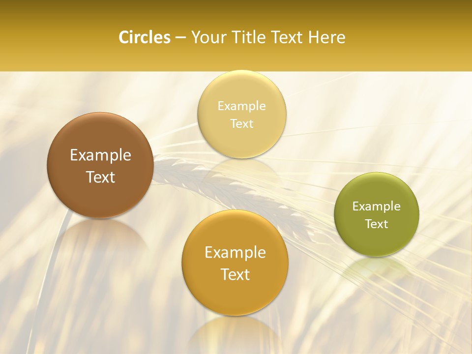 Straw Gold Meadow PowerPoint Template