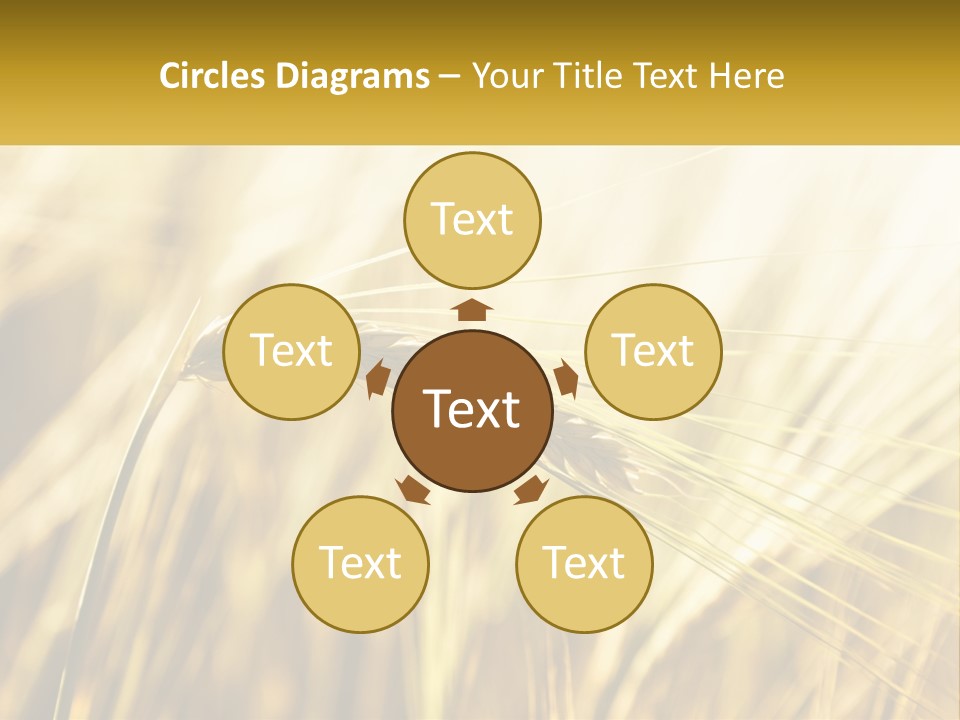 Straw Gold Meadow PowerPoint Template