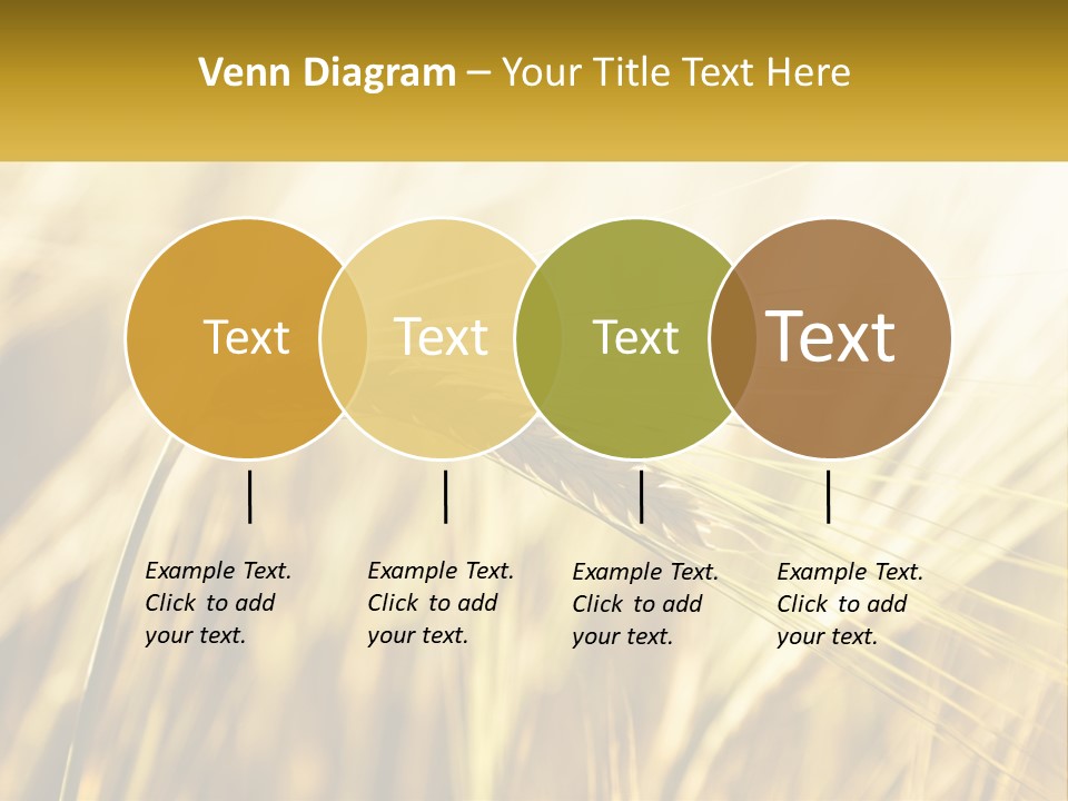 Straw Gold Meadow PowerPoint Template