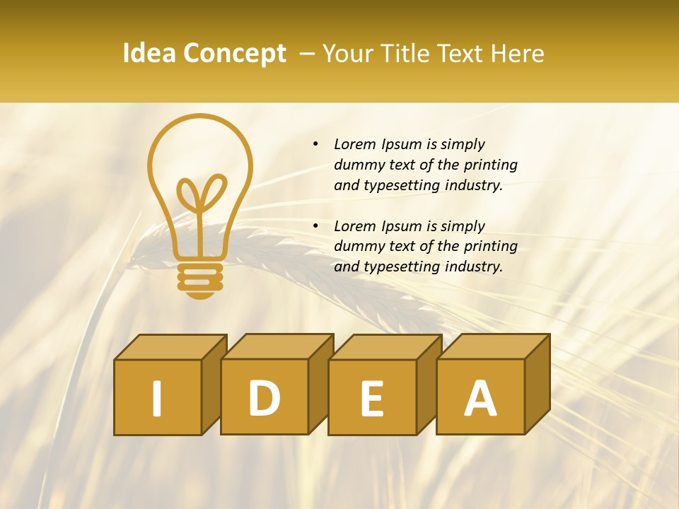 Straw Gold Meadow PowerPoint Template