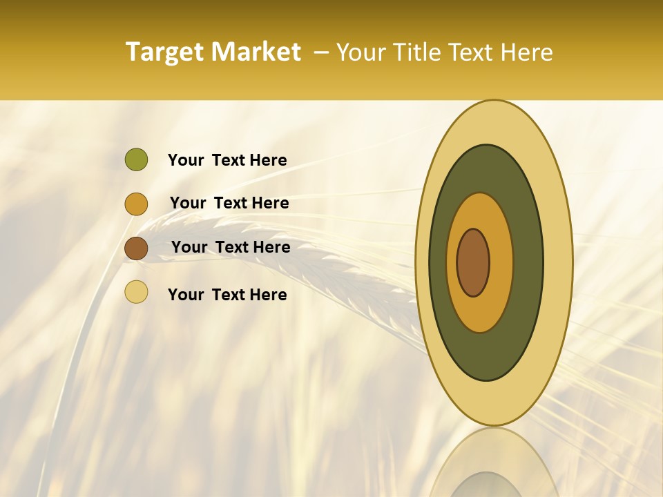 Straw Gold Meadow PowerPoint Template