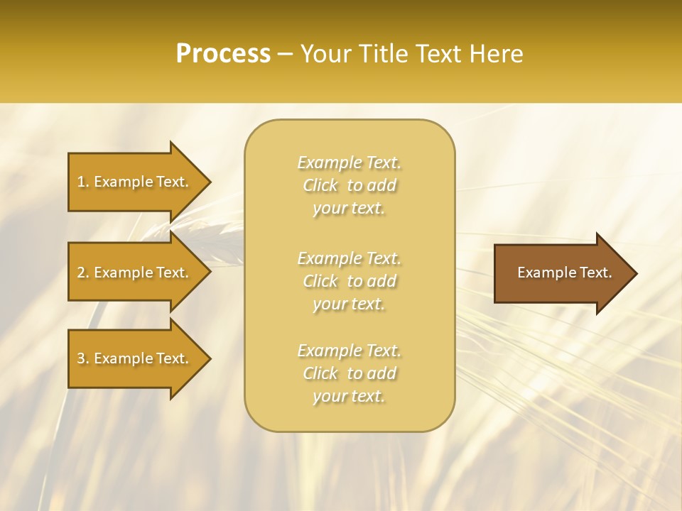 Straw Gold Meadow PowerPoint Template