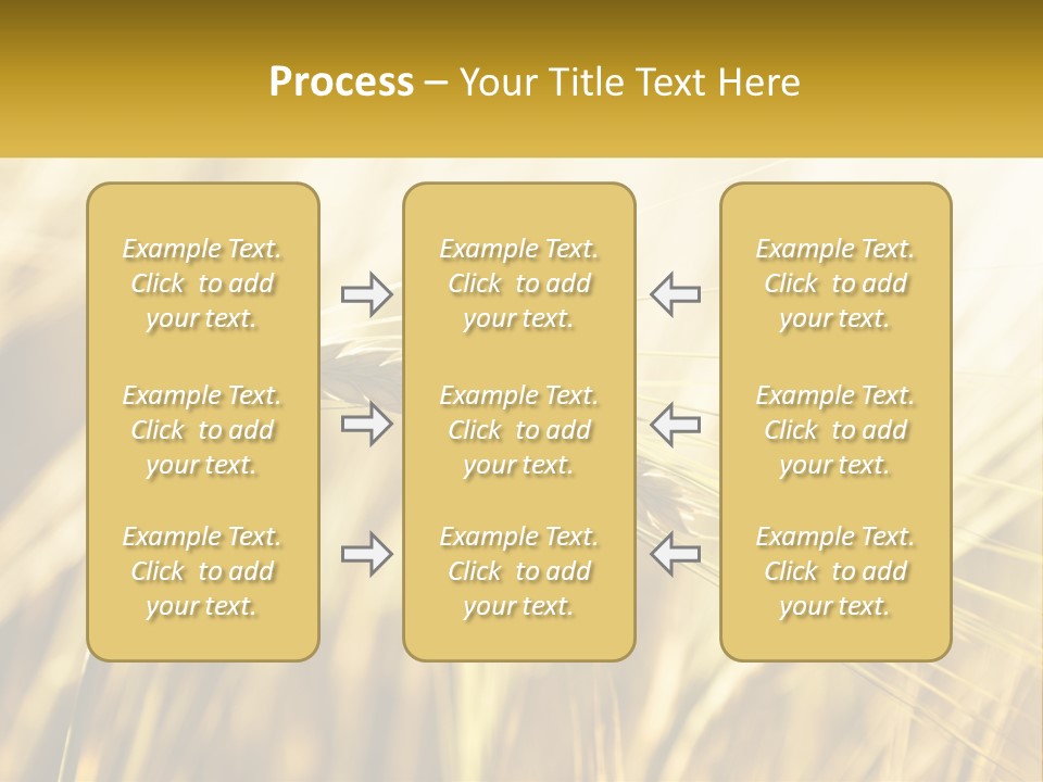 Straw Gold Meadow PowerPoint Template