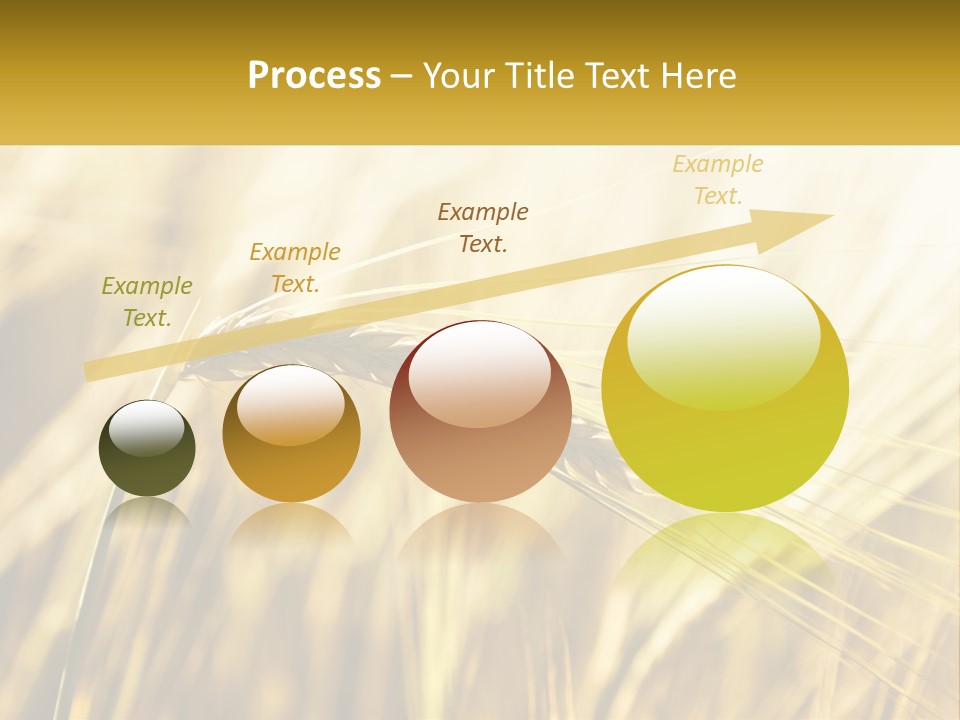 Straw Gold Meadow PowerPoint Template