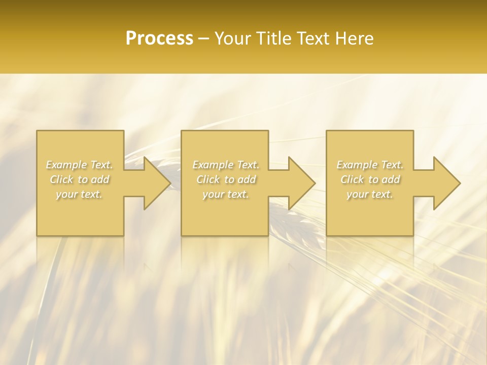 Straw Gold Meadow PowerPoint Template