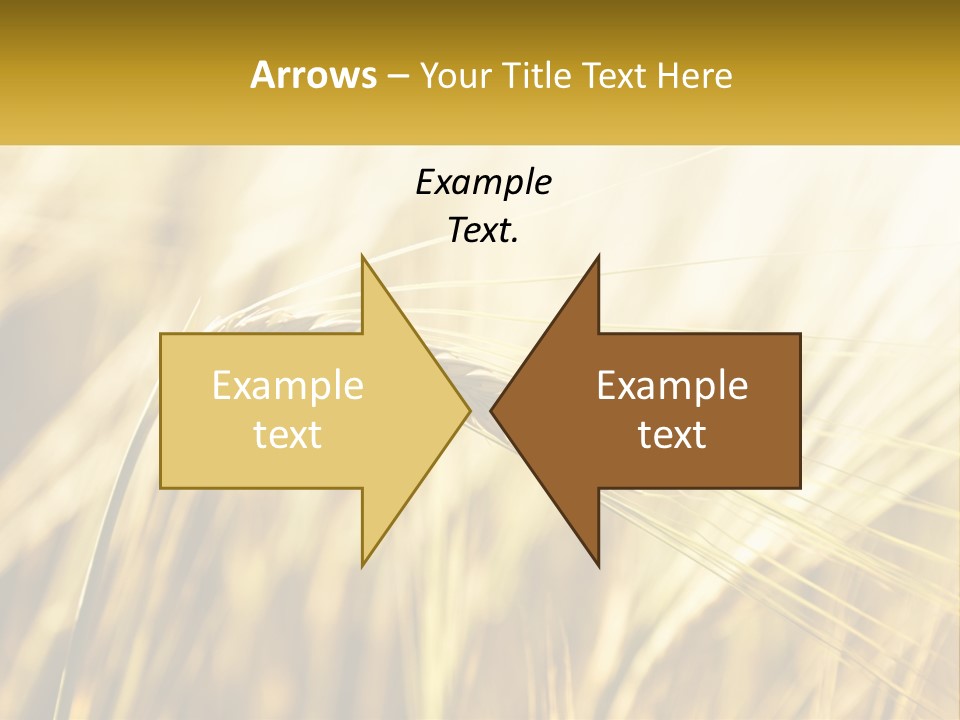 Straw Gold Meadow PowerPoint Template