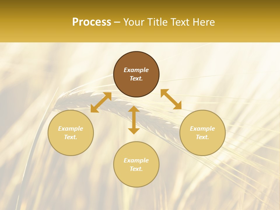 Straw Gold Meadow PowerPoint Template