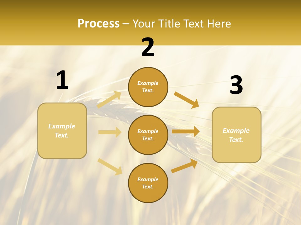 Straw Gold Meadow PowerPoint Template