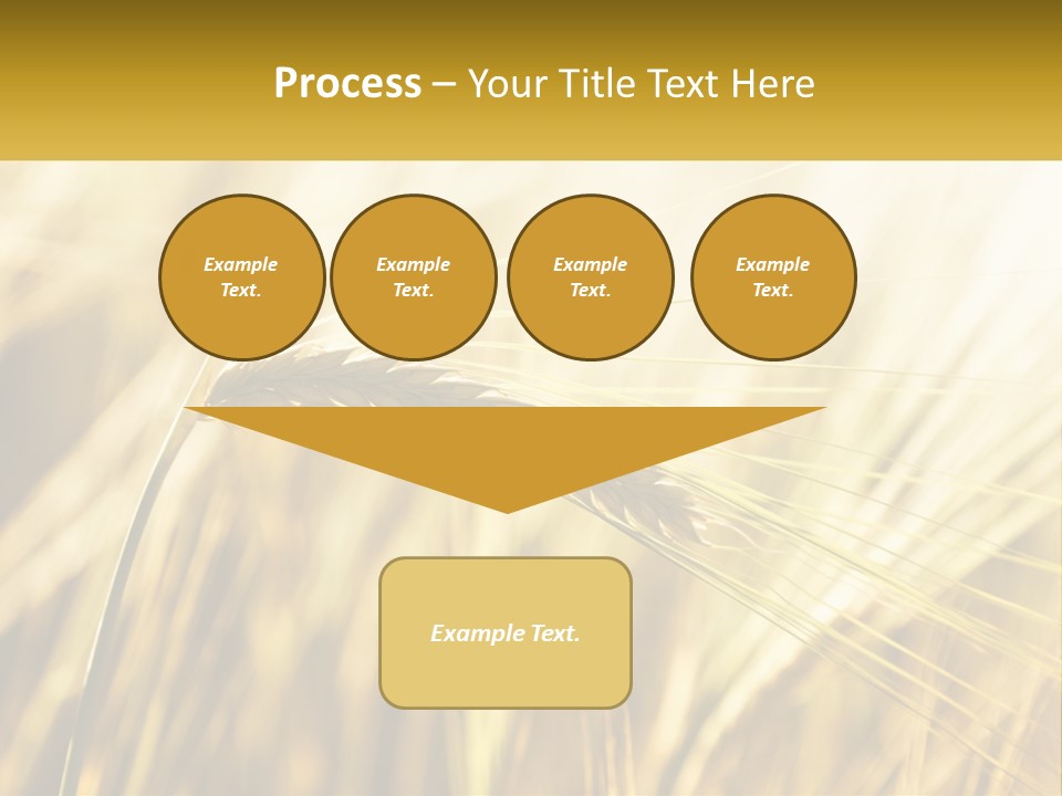 Straw Gold Meadow PowerPoint Template