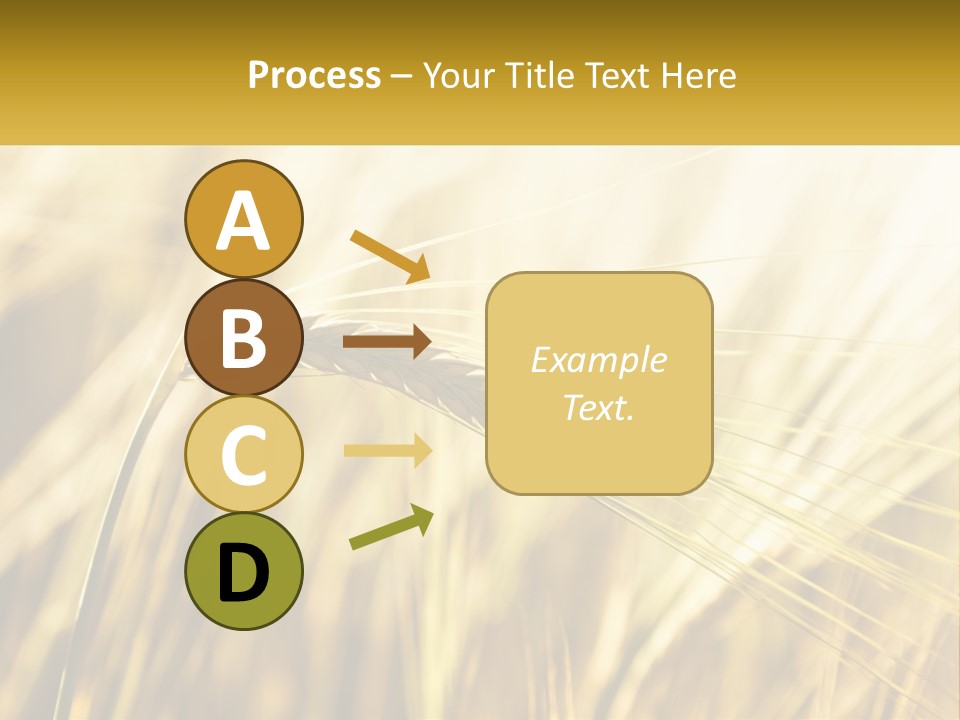 Straw Gold Meadow PowerPoint Template