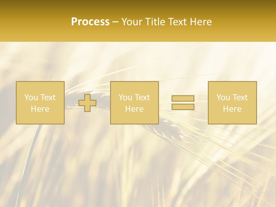 Straw Gold Meadow PowerPoint Template