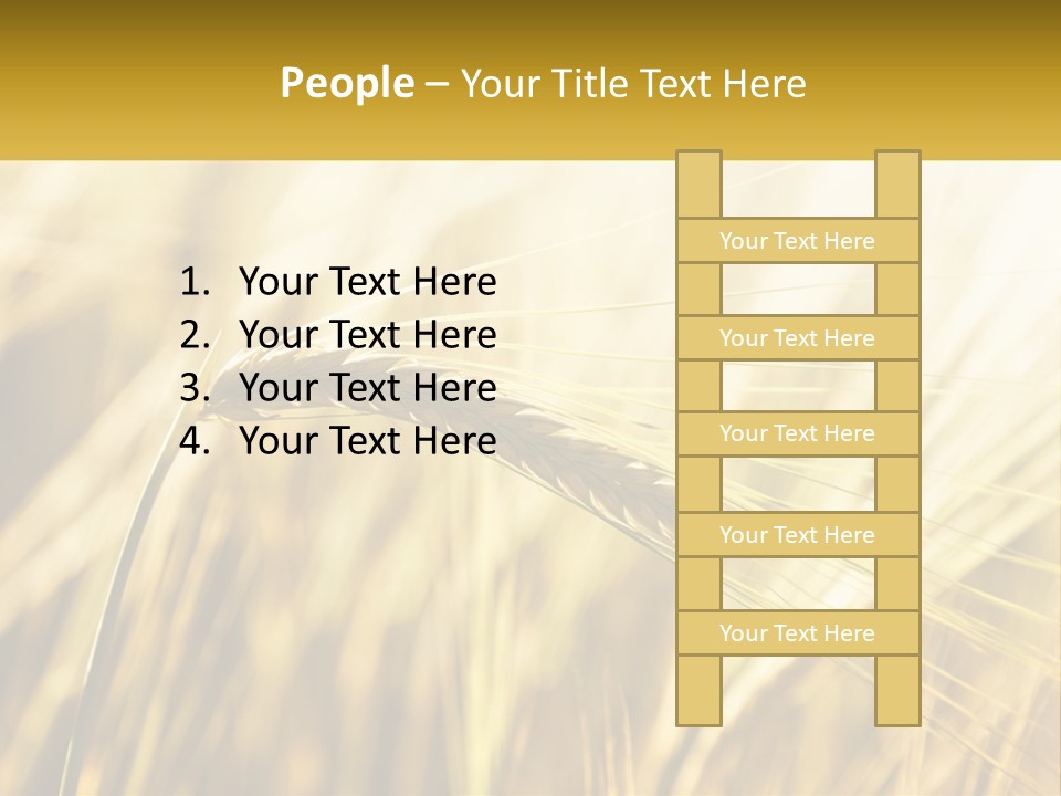 Straw Gold Meadow PowerPoint Template