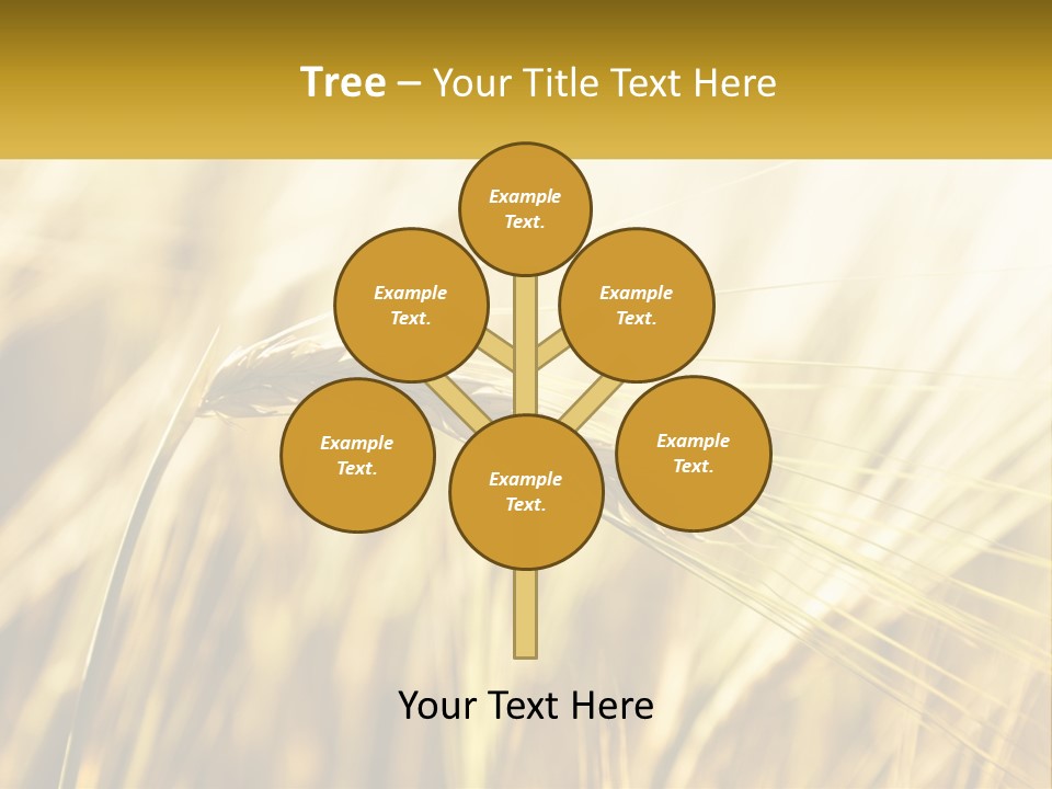 Straw Gold Meadow PowerPoint Template