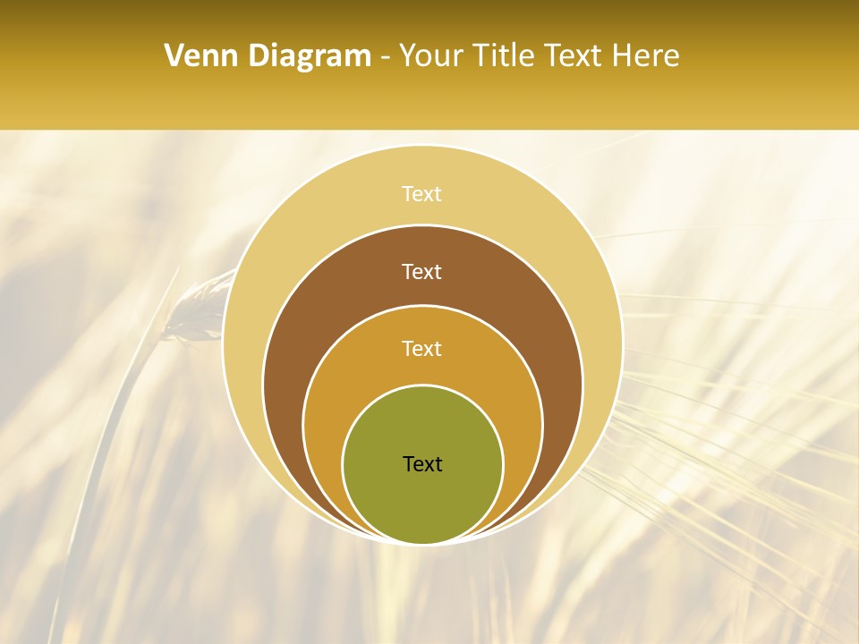 Straw Gold Meadow PowerPoint Template