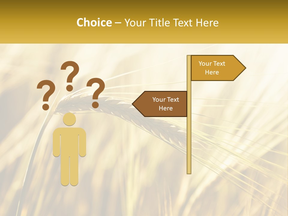 Straw Gold Meadow PowerPoint Template