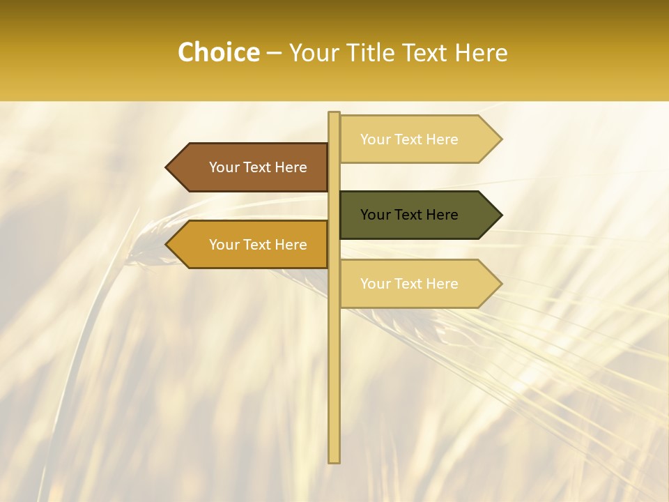 Straw Gold Meadow PowerPoint Template