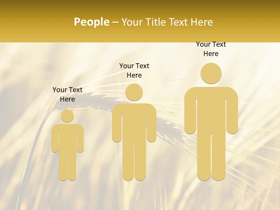 Straw Gold Meadow PowerPoint Template